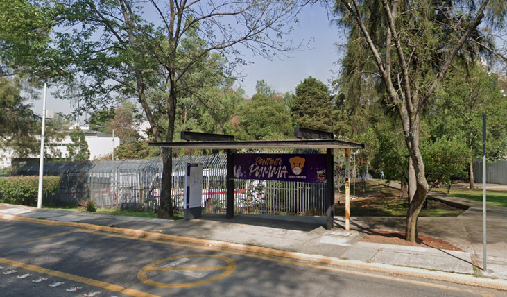 Imagenes paradapumabusinvernadero